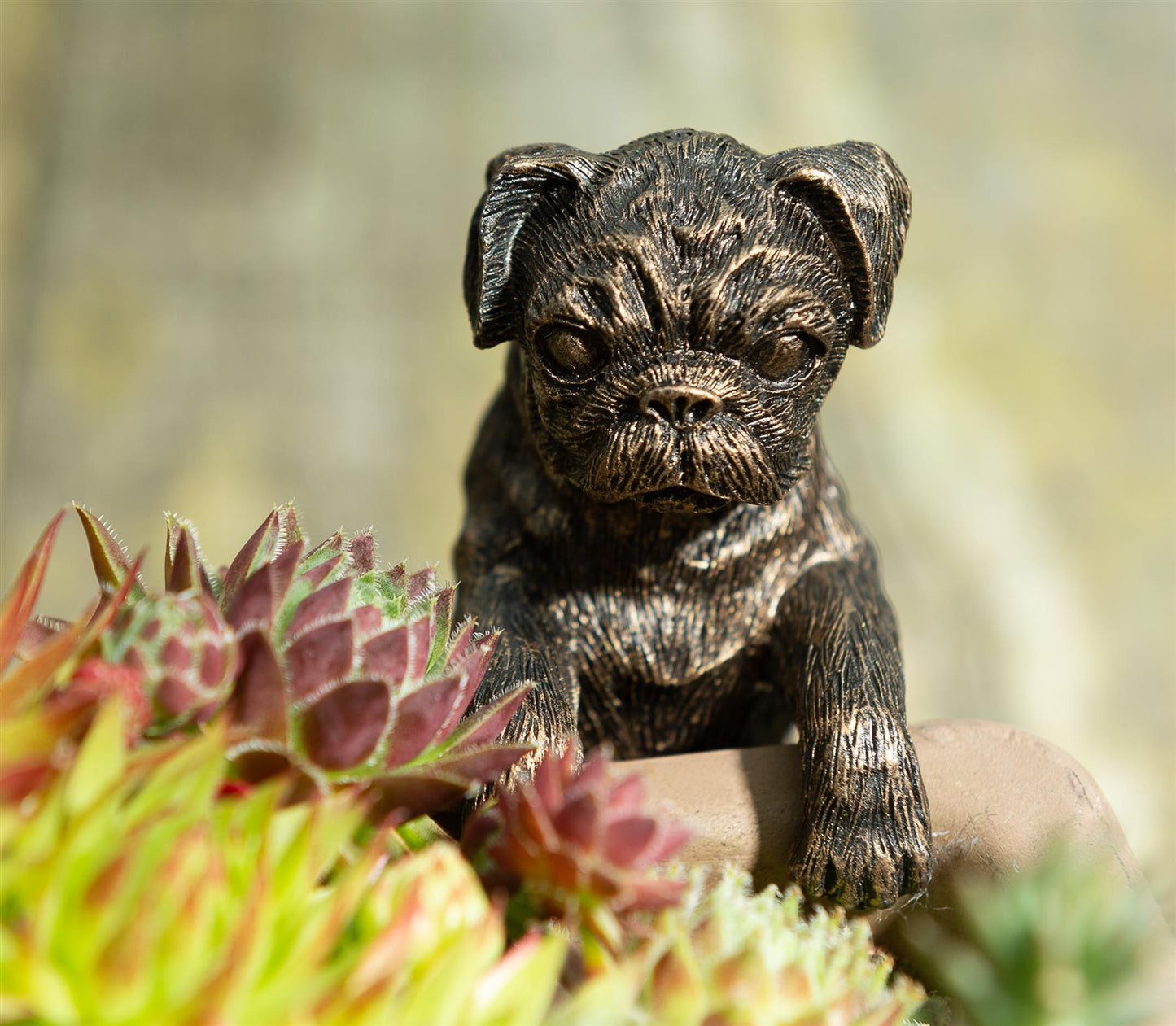 Pug Plant Pot Hanger