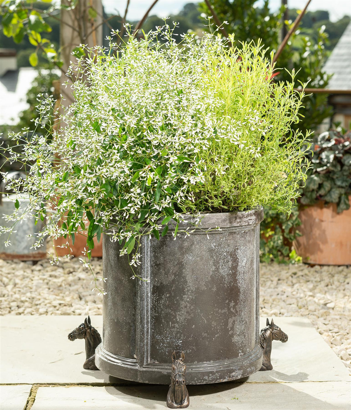 Horse Plant Pot Feet - Set of 3