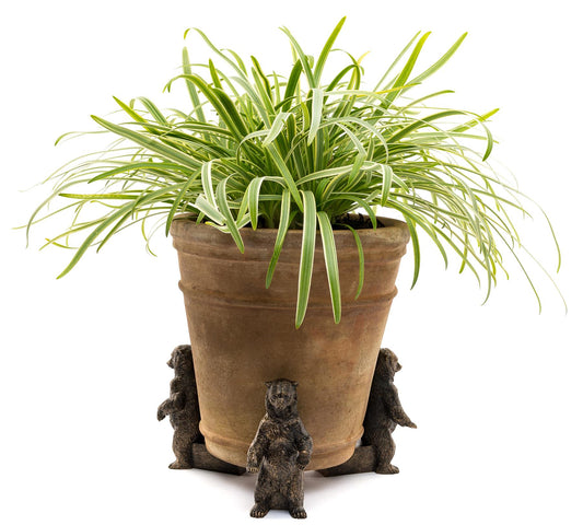 Grizzly Bear Plant Pot Feet - Set of 3