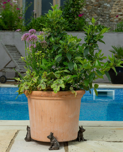 Pig Plant Pot Feet - Set of 3