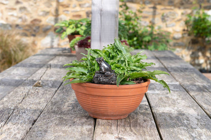 Frog On A Log Plant Drip Feeder Cover & Feed