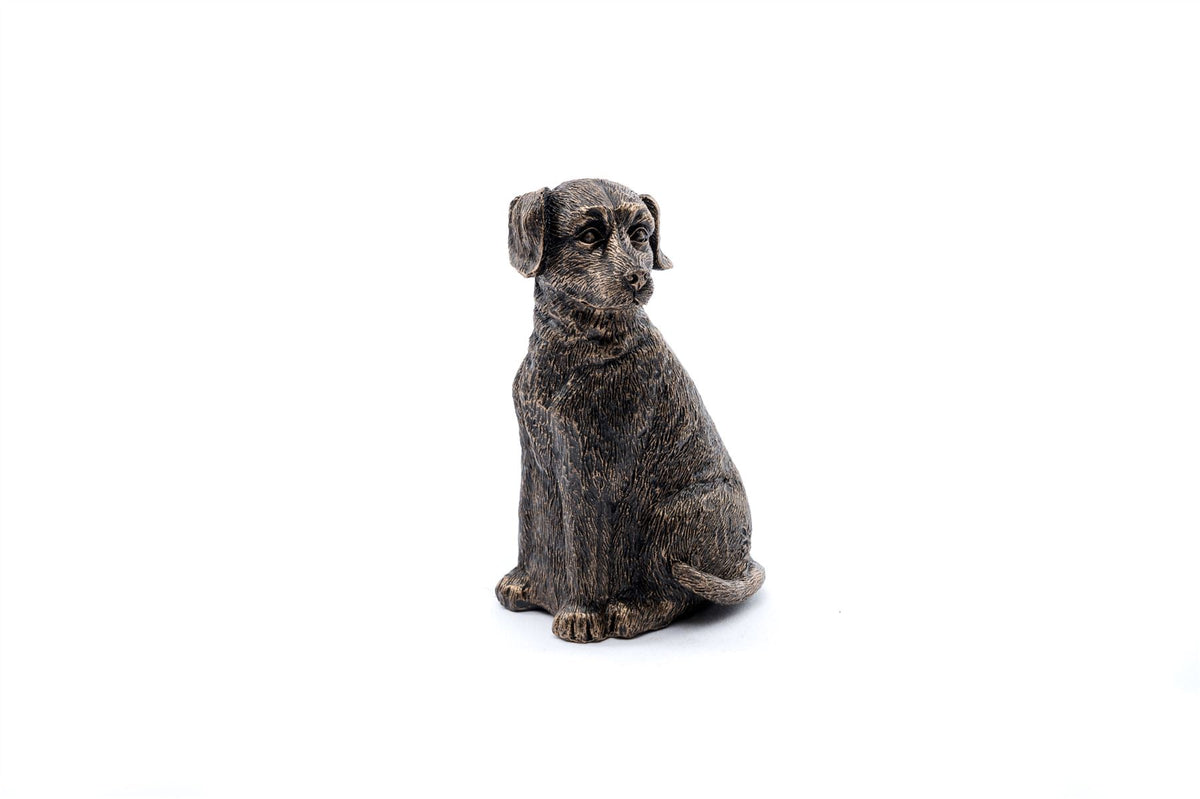 Labrador Plant Drip Feeder Cover & Feed
