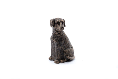 Labrador Plant Drip Feeder Cover & Feed