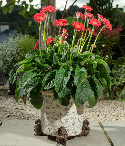 Chimpanzee Plant Pot Feet - Set of 3