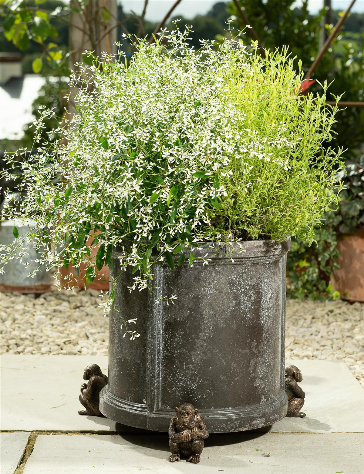 Chimpanzee Plant Pot Feet - Set of 3