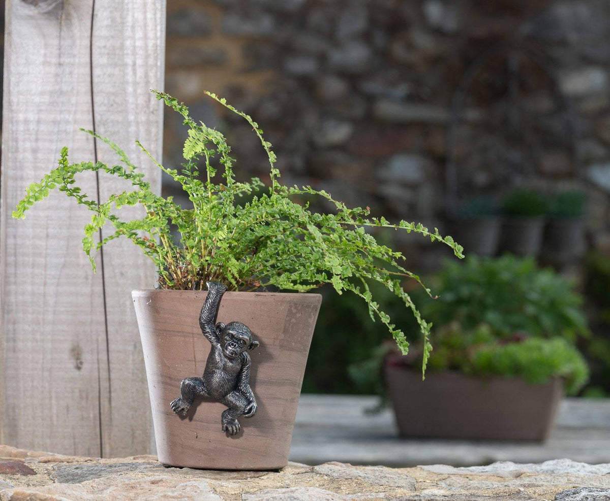 Chimpanzee Plant Pot Hanger