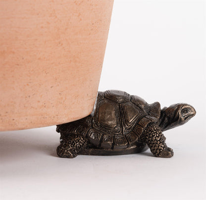 Tortoise Plant Pot Feet - Set of 3