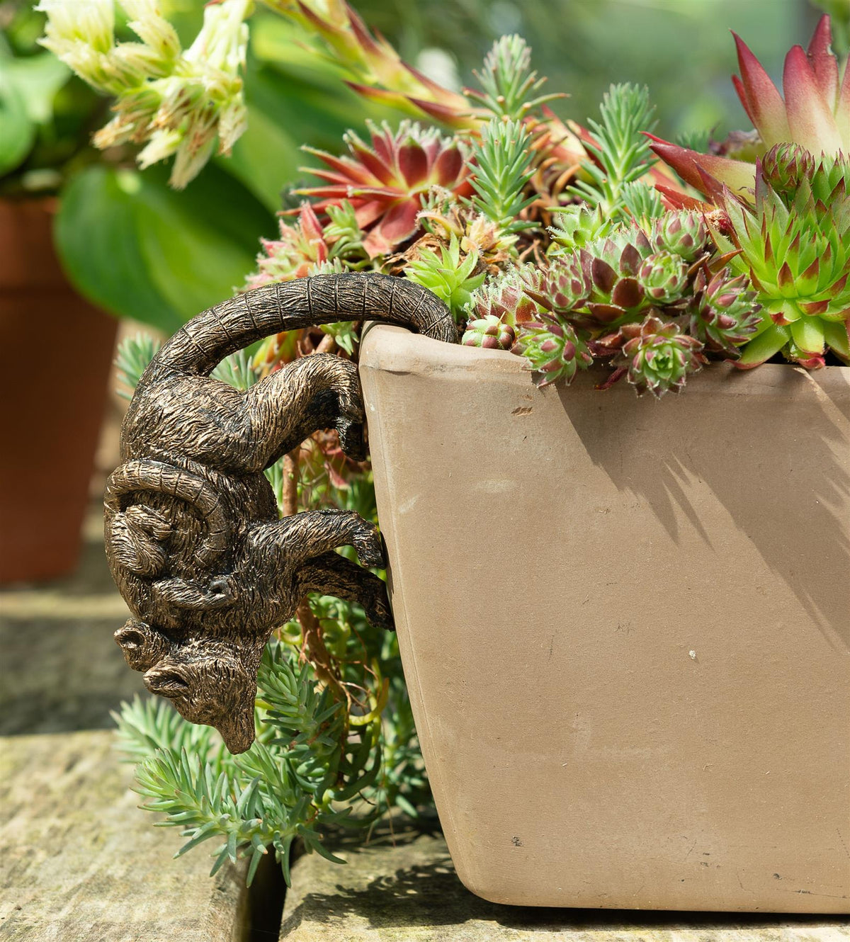 Lemur and Pup Plant Pot Hanger