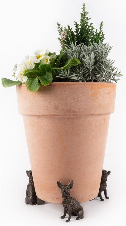 Chihuahua Plant Pot Feet - Set of 3