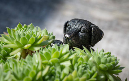 Labrador Plant Pot Hanger
