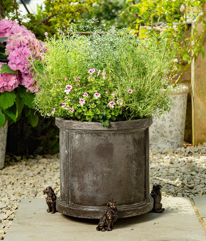 Border Collie Plant Pot Feet - Set of 3