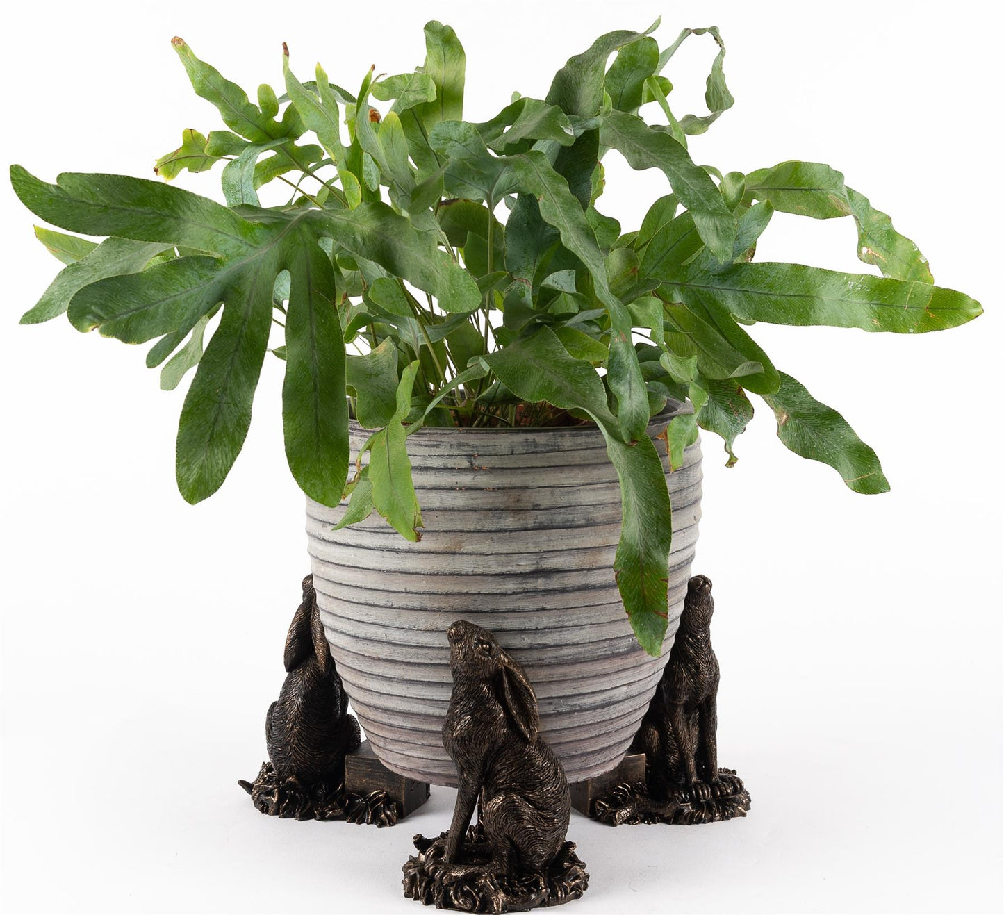 Moongazing Hare Plant Pot Feet - Set of 3