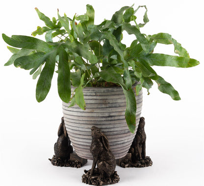 Moongazing Hare Plant Pot Feet - Set of 3