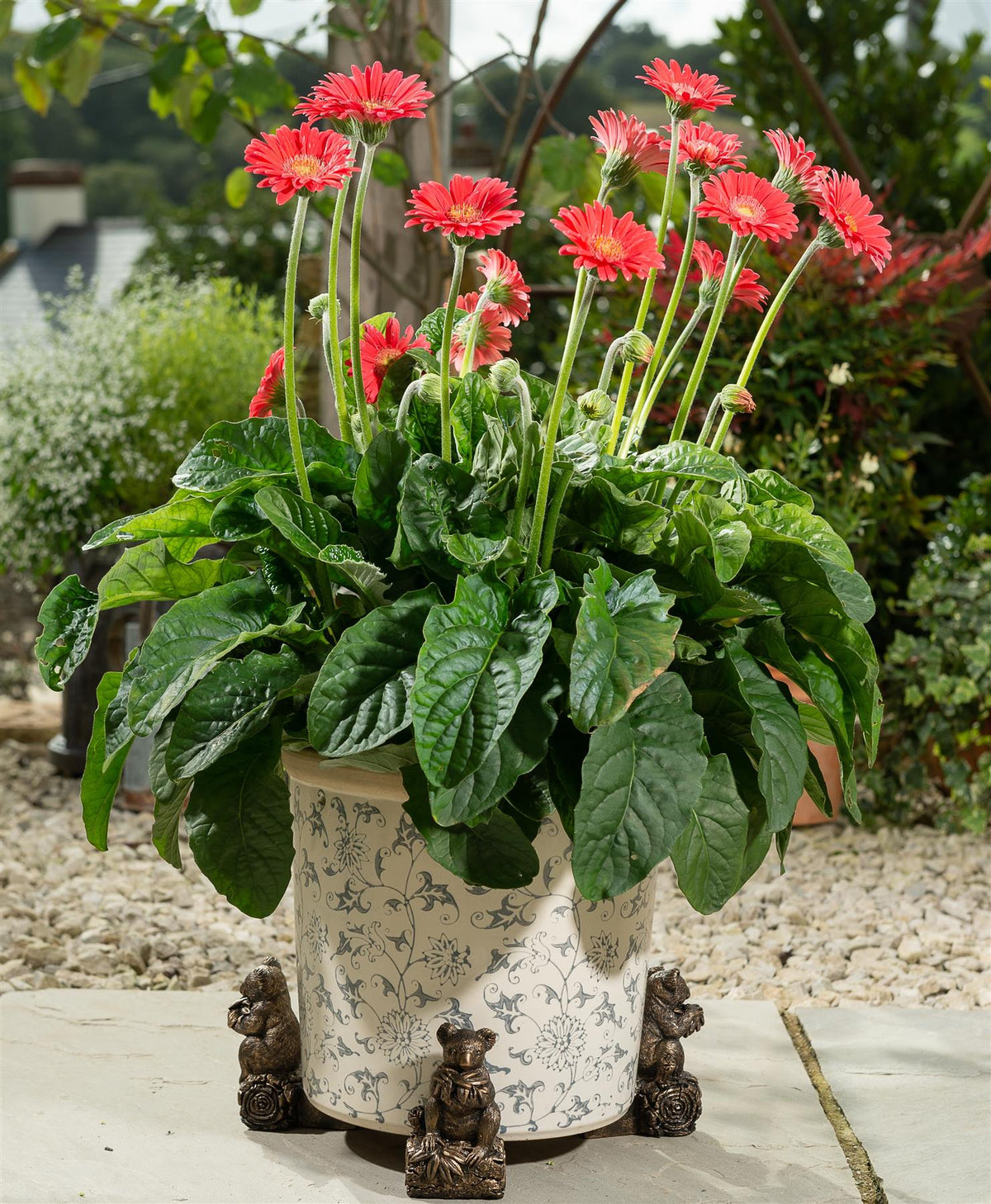 Koala Bear Plant Pot Feet - Set of 3