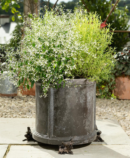Robin Plant Pot Feet - Set of 3
