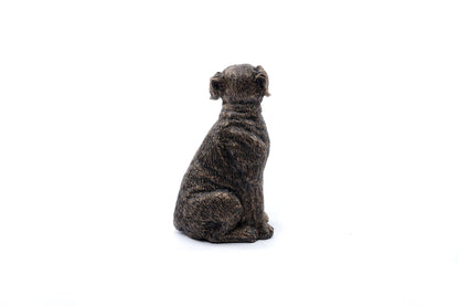 Labrador Plant Drip Feeder Cover & Feed