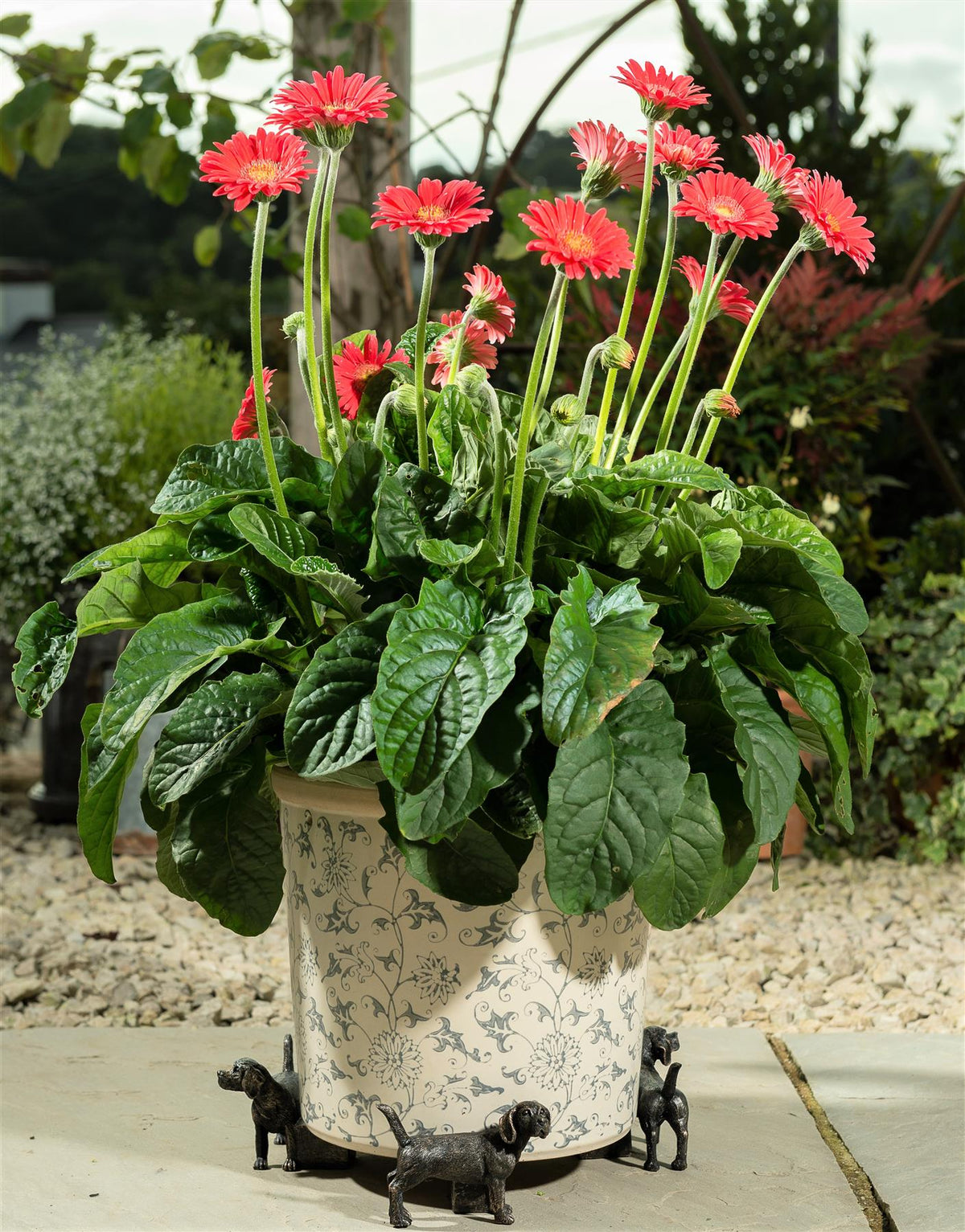 Beagle Plant Pot Feet - Set of 3