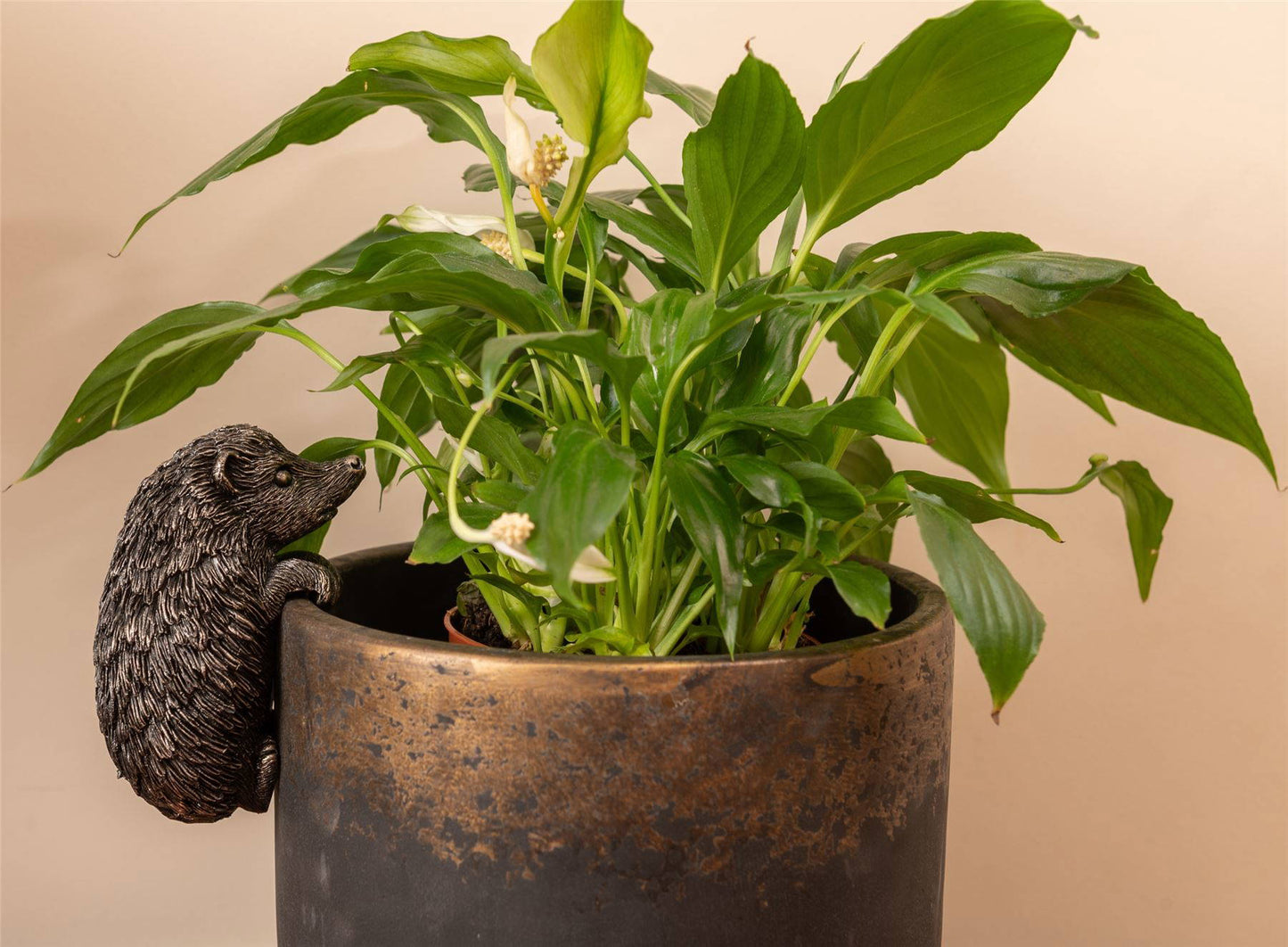 Hedgehog Plant Pot Hanger