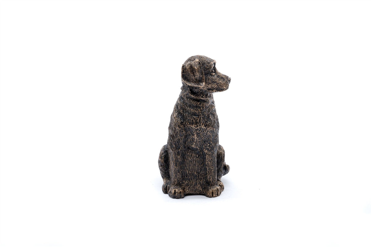 Labrador Plant Drip Feeder Cover & Feed