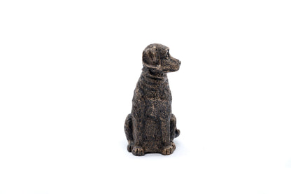 Labrador Plant Drip Feeder Cover & Feed