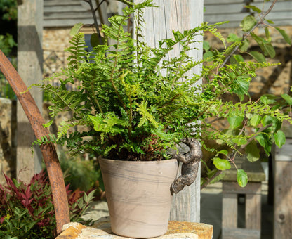 Polar Bear Plant Pot Hanger