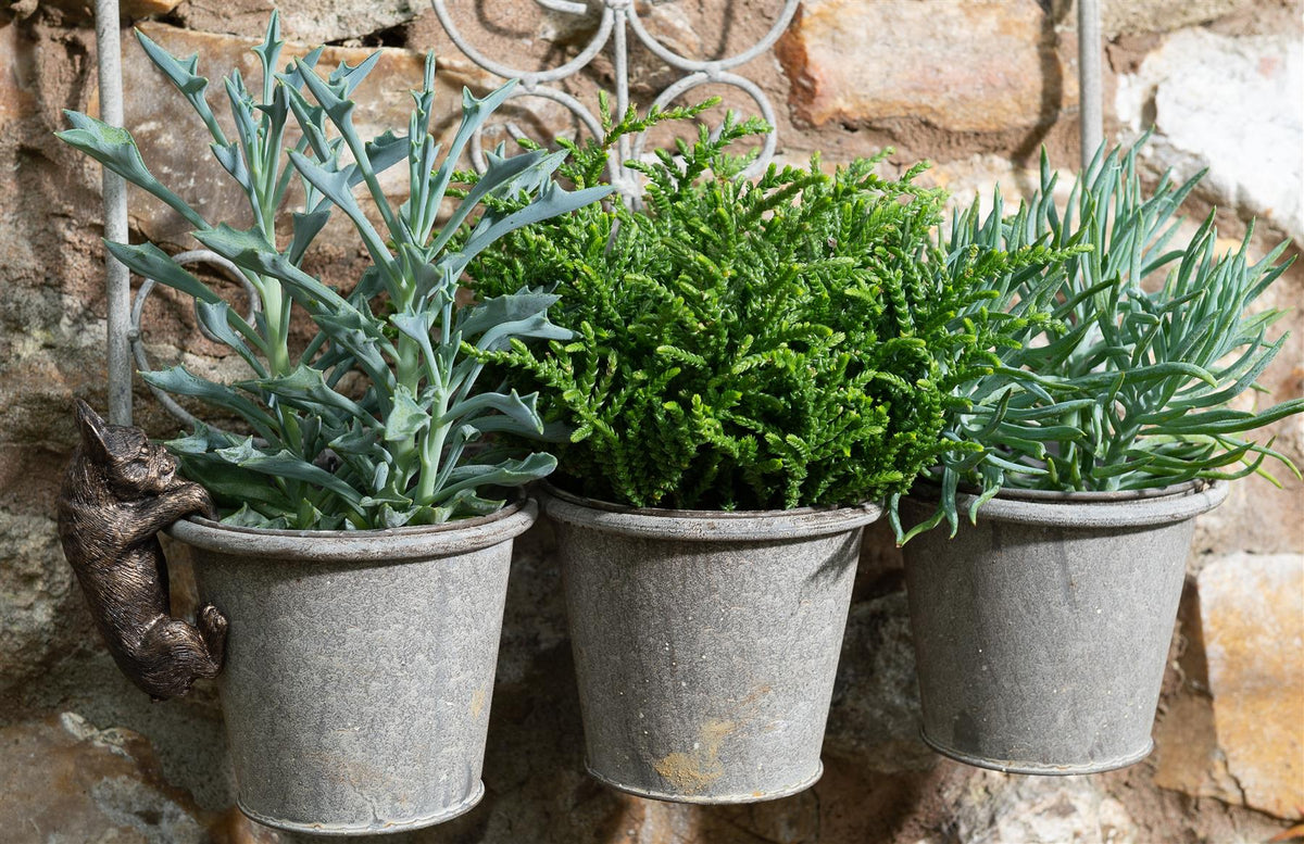 French Bulldog Plant Pot Buddy