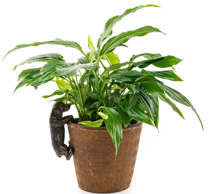 Dachshund Plant Pot Hanger