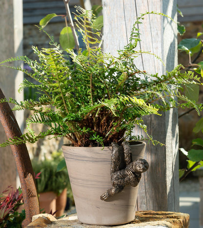 Three Toed Sloth Plant Pot Hanger
