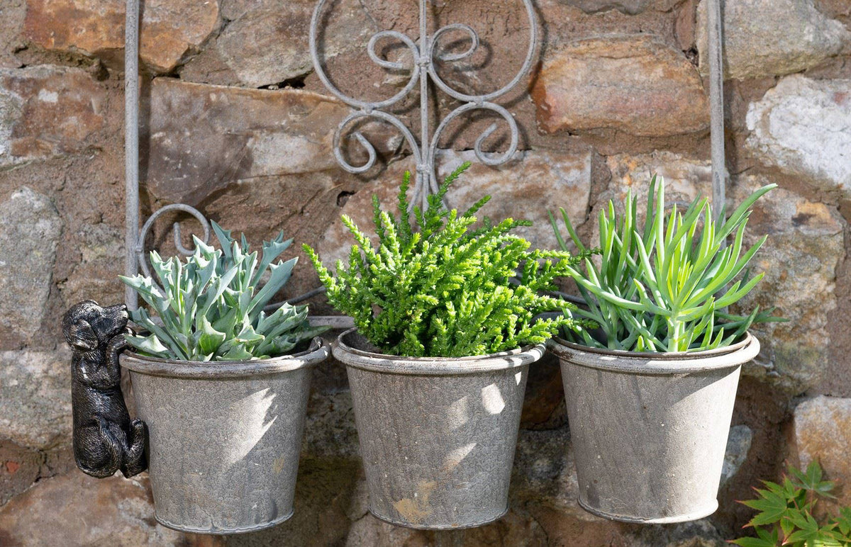 Labrador Plant Pot Hanger