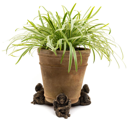 Orangutan Plant Pot Feet - Set of 3