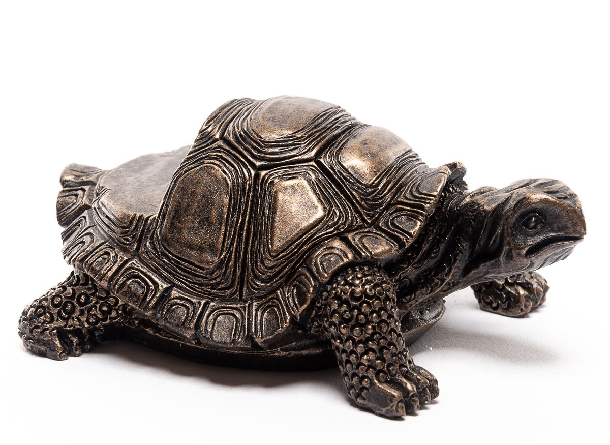 Tortoise Plant Pot Feet - Set of 3