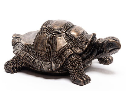 Tortoise Plant Pot Feet - Set of 3
