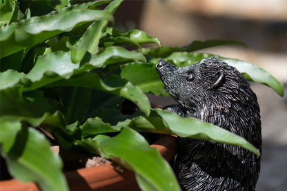 Hedgehog Plant Pot Hanger