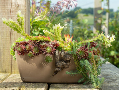 Three Toed Sloth Plant Pot Hanger