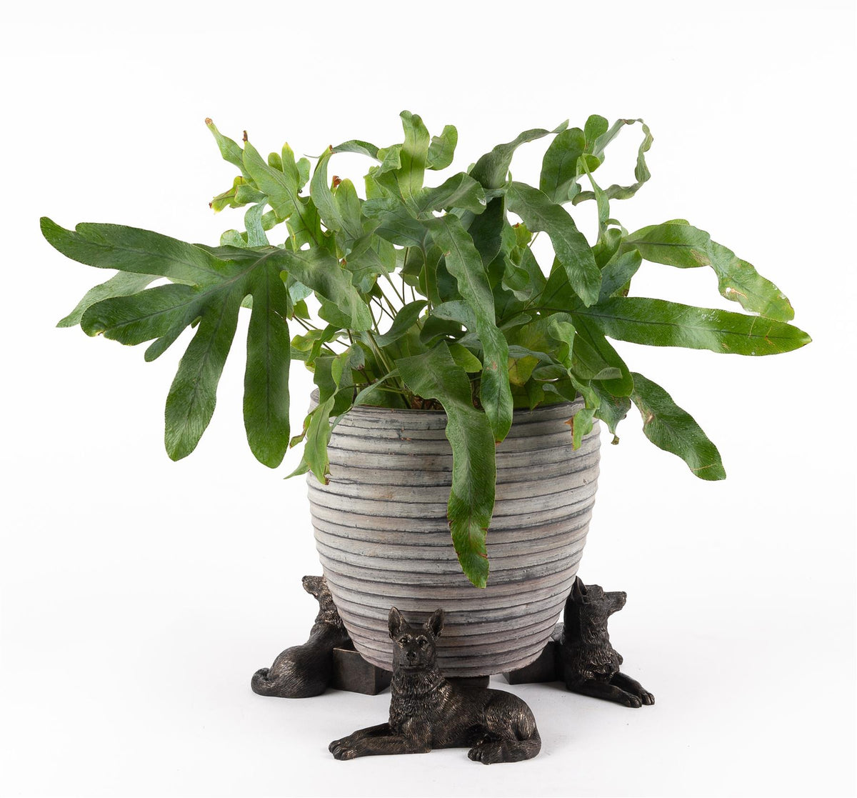 German Shepherd Plant Pot Feet - Set of 3