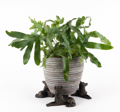 German Shepherd Plant Pot Feet - Set of 3
