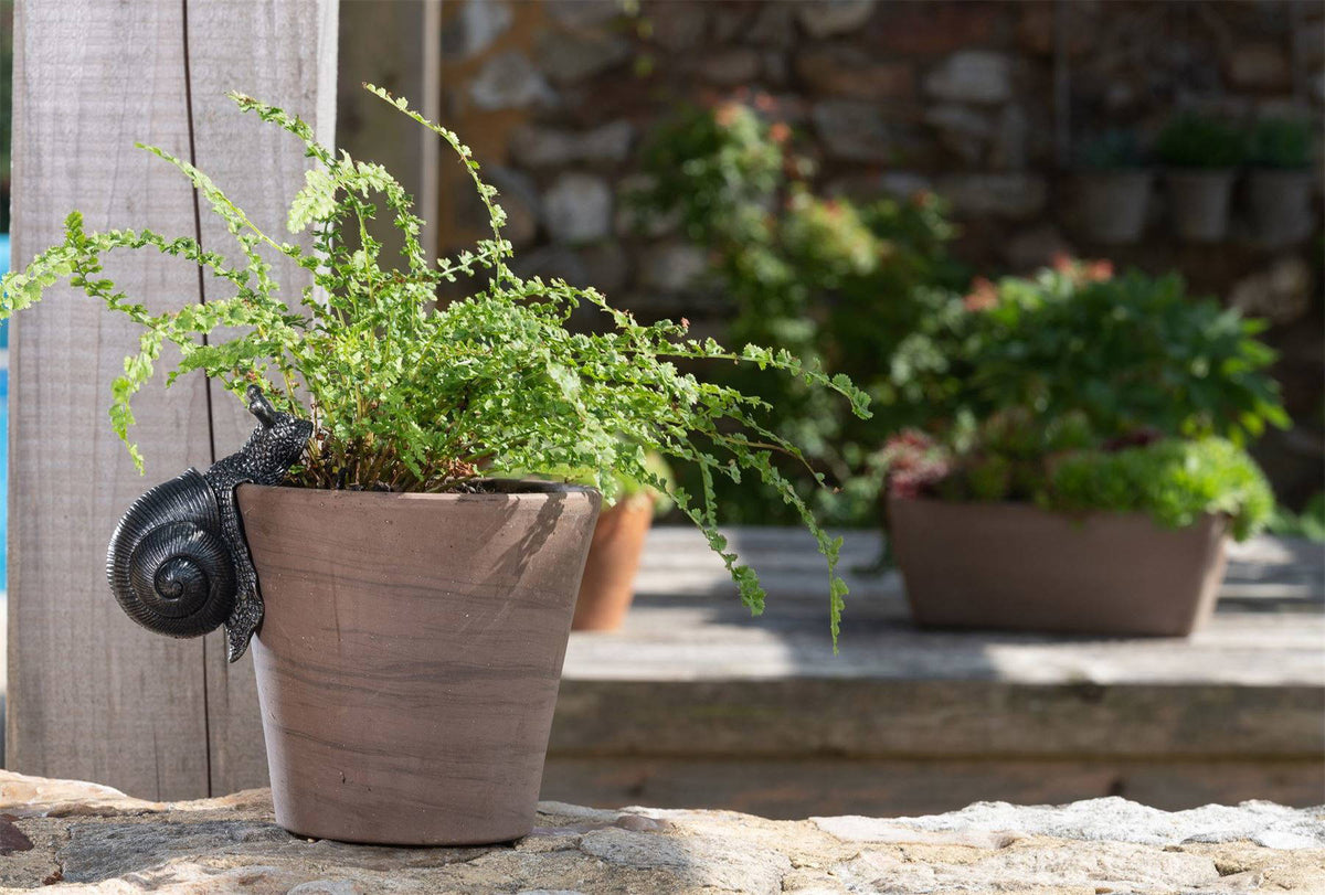 Snail Plant Pot Hanger