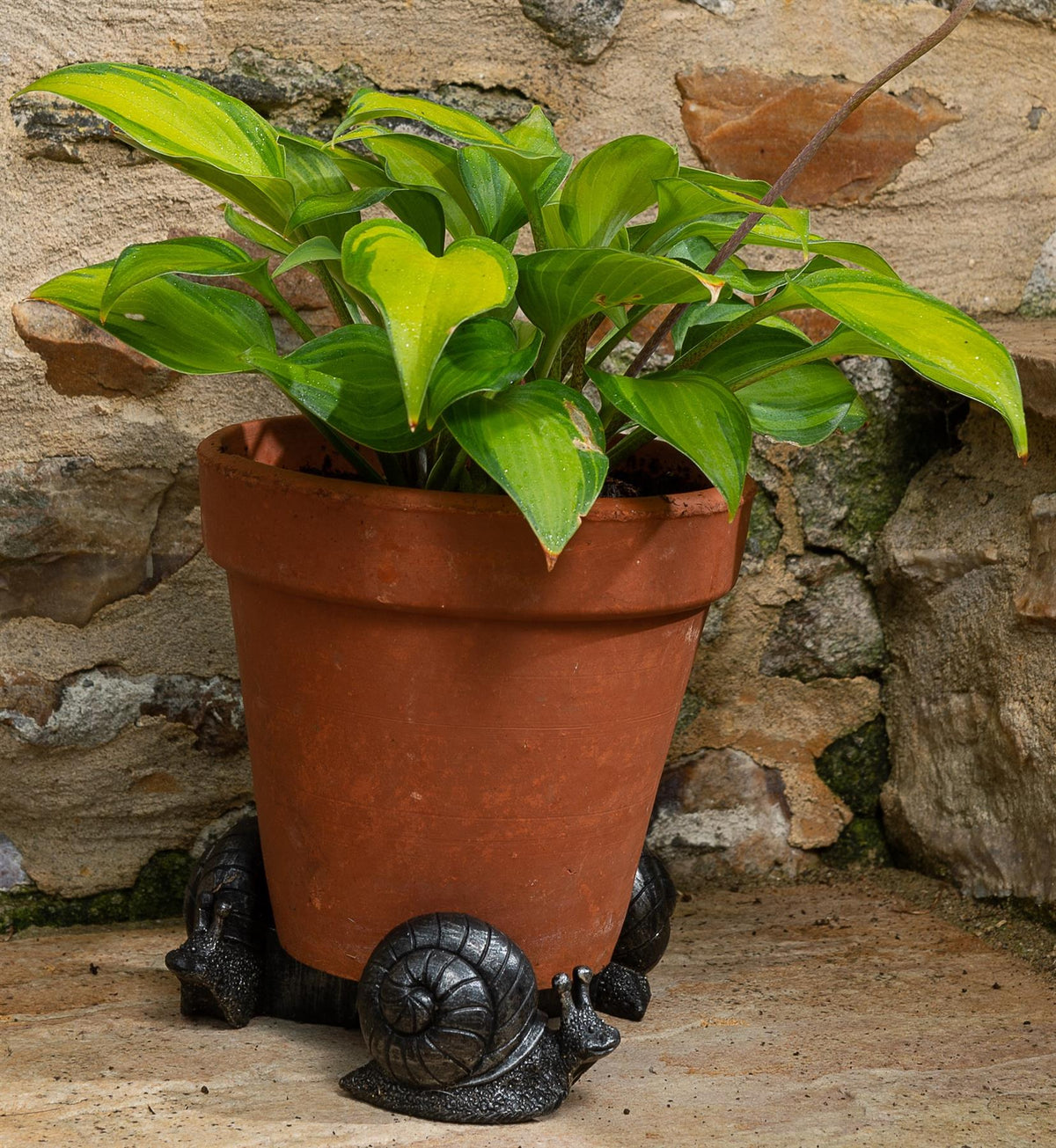 Snail Plant Pot Feet - Set of 3