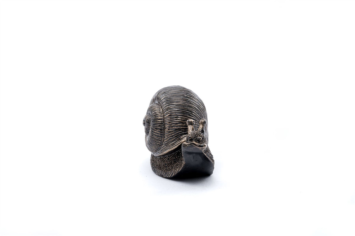 Snail Plant Drip Feeder Cover & Feed
