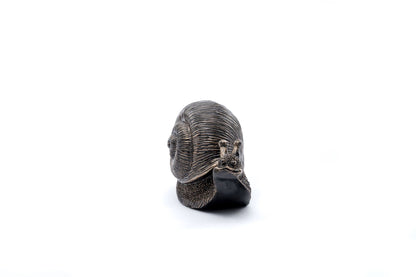 Snail Plant Drip Feeder Cover & Feed