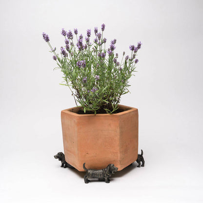 Basset Hound Plant Pot Feet - Set of 3