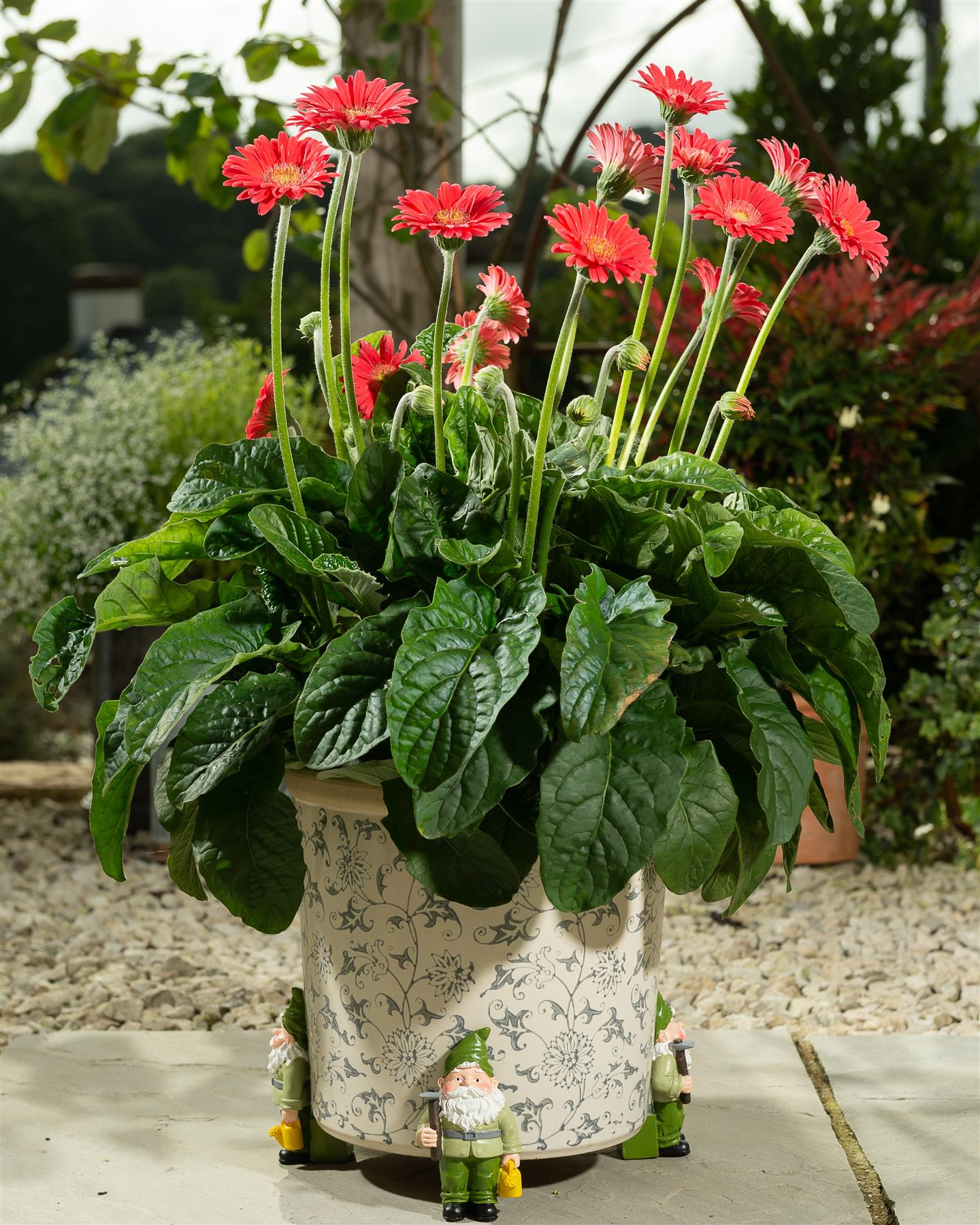 Standing Gnome With Watering Can Plant Pot Feet - Set of 3