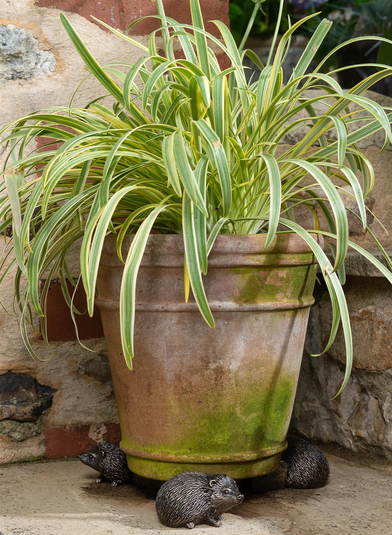 Hedgehog Plant Pot Feet - Set of 3