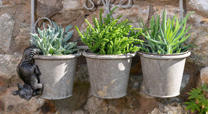 Red Squirrel Plant Pot Hanger