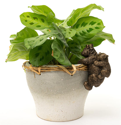 Panda and Cub Plant Pot Hanger