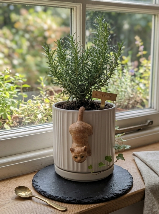 Alice in Wonderland - Cheshire Cat - Pot Buddy™