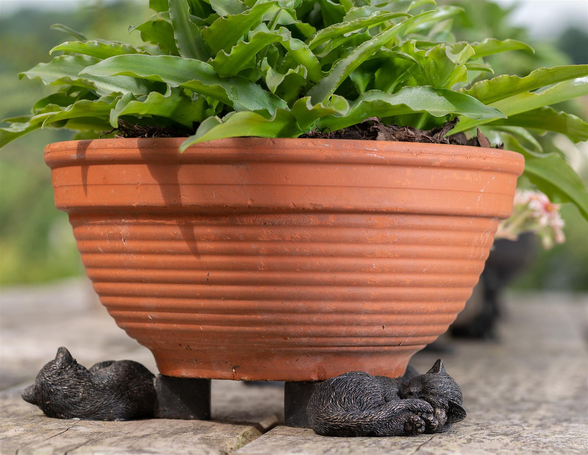 Sleeping Cat Curled Up Plant Pot Feet - Set of 3