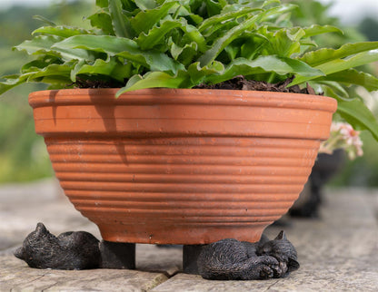 Sleeping Cat Curled Up Plant Pot Feet - Set of 3