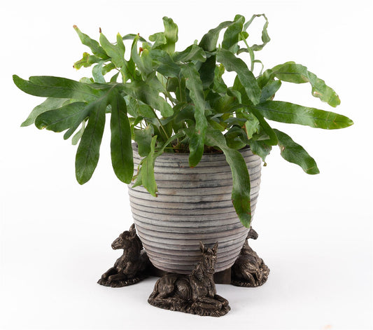 Donkey Foal Plant Pot Feet - Set of 3