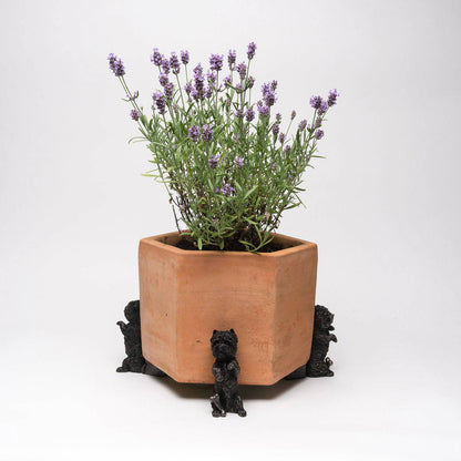 West Highland Terrier Plant Pot Feet - Set of 3